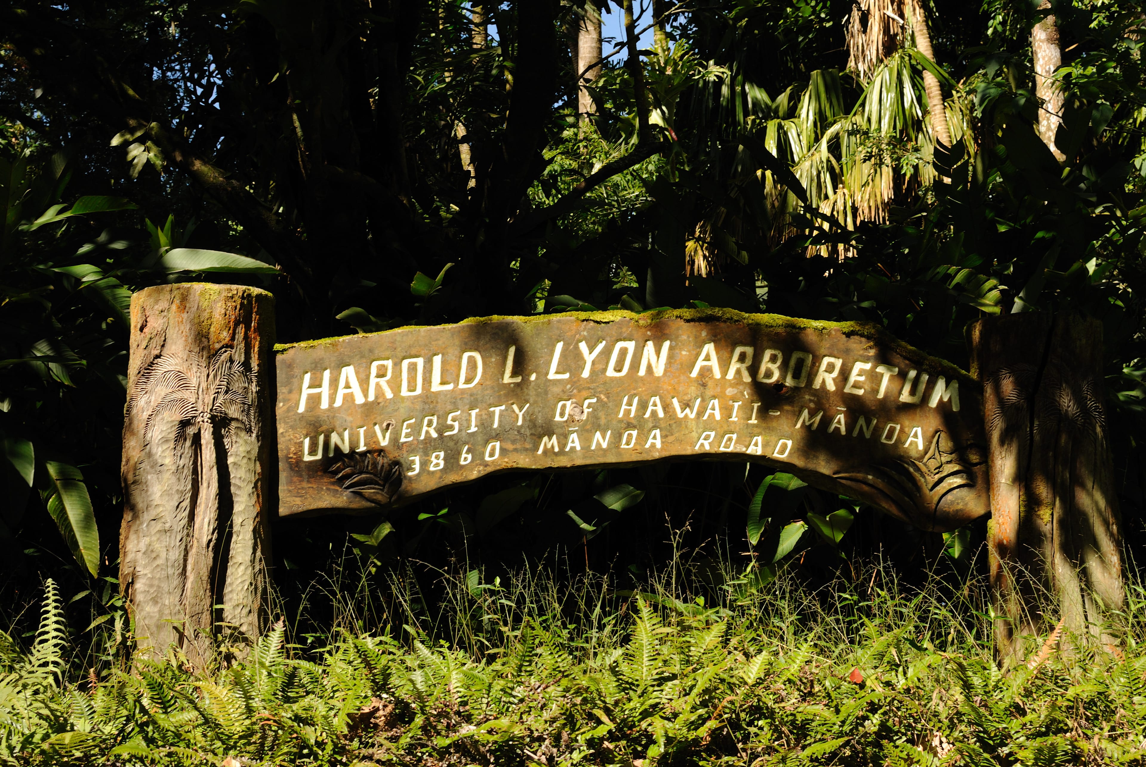 Imagen de Lyon Arboretum