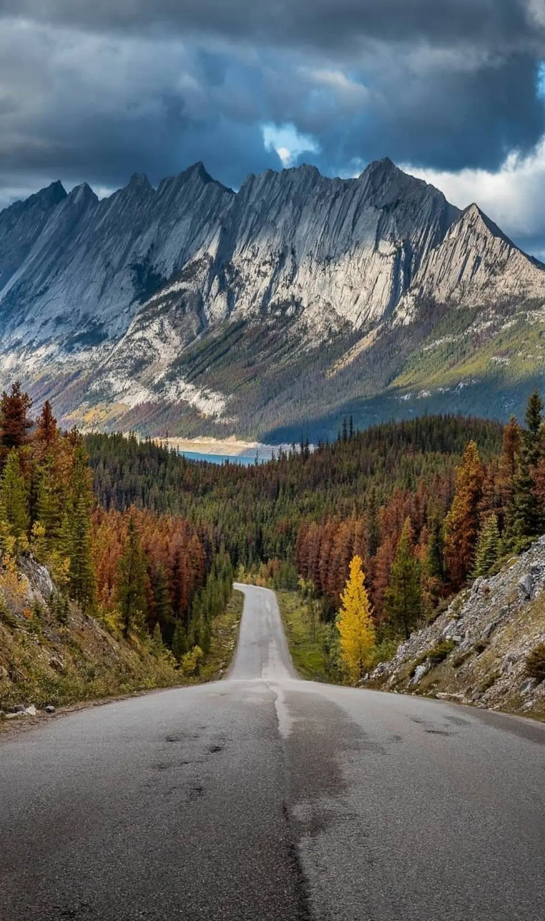 Paisaje del parque nacional de Jasper, Alberta, con carretera, bosques y montañas rocosas.