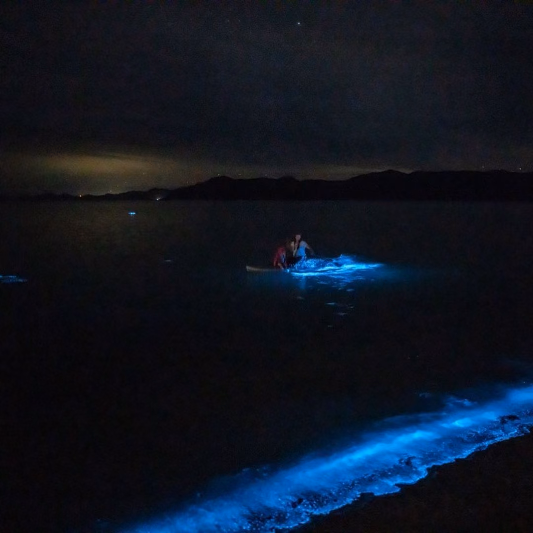 Kayak en la bahía bioluminiscente de Vieques, Puerto Rico
