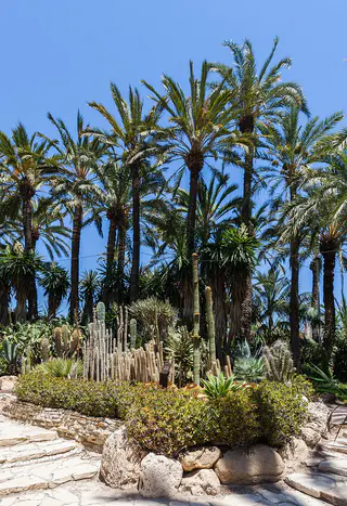 Huerto del Cura, Elche