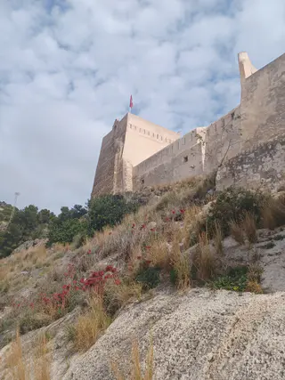 Vista de Castillo de Cullera, Cullera