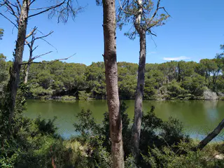 Detalle de Parque Natural de l’Albufera, Valencia