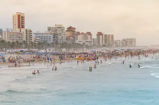 Entorno de Playa Nord de Gandia, Gandia