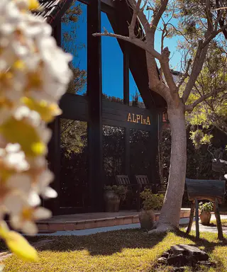 AlpinaSuite, Valencia