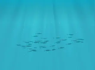 Oceanogràfic de València, Valencia