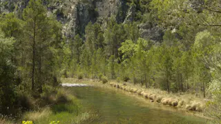 Parque Natural de las Hoces del Cabriel, Venta del Moro
